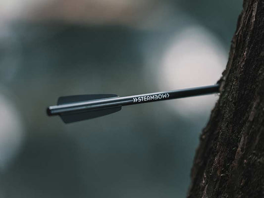 AR 6 Stinger II Armbrust: Das ist kein Spielzeug