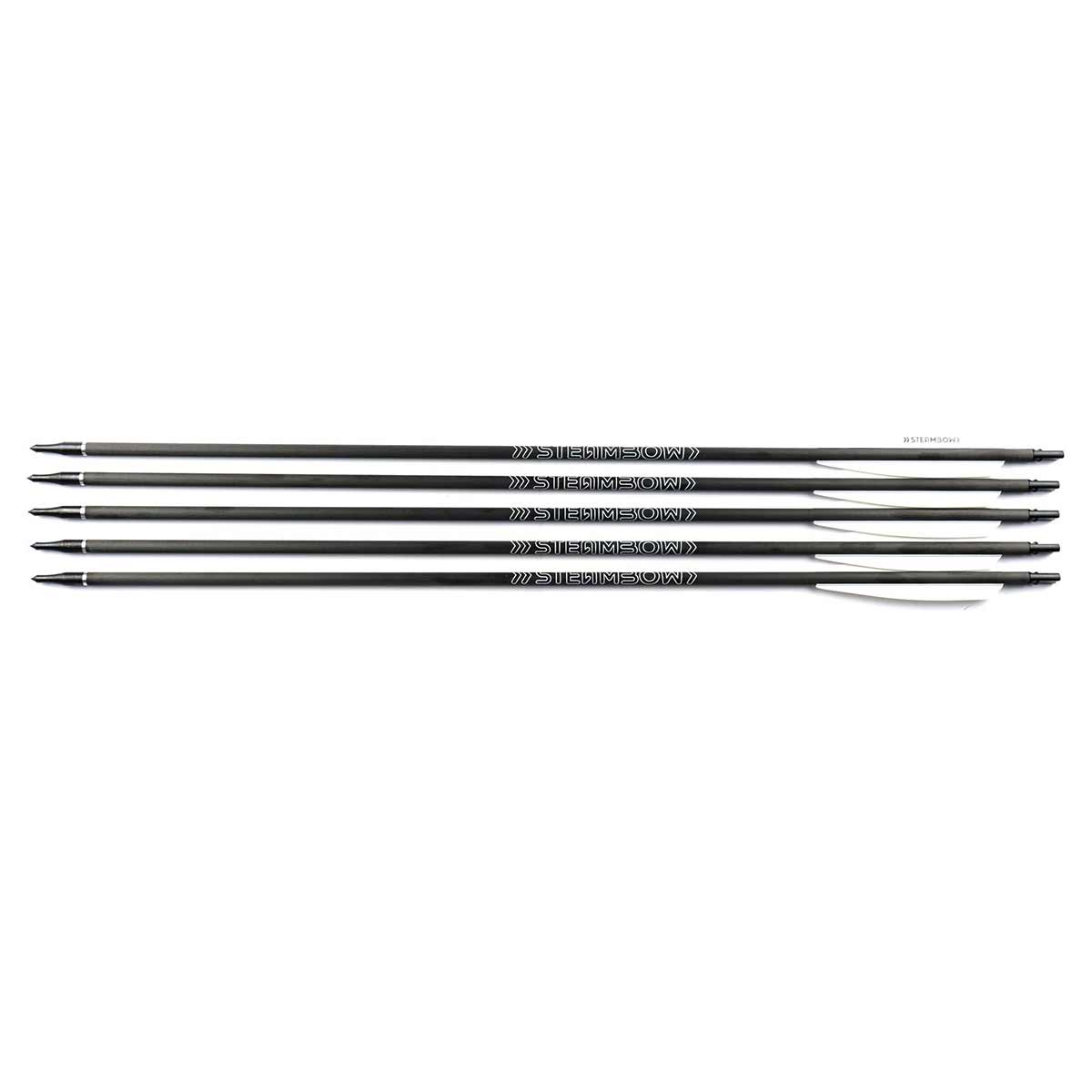 FENRIS – Flèches carbone – lot de 5 pièces