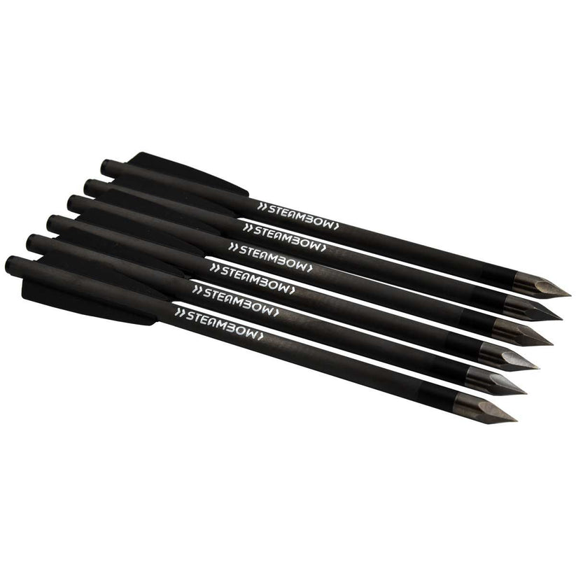 Steambow AR-Series Light Carbon Bodkin Arrows, Set of 6 » Tenda Canada