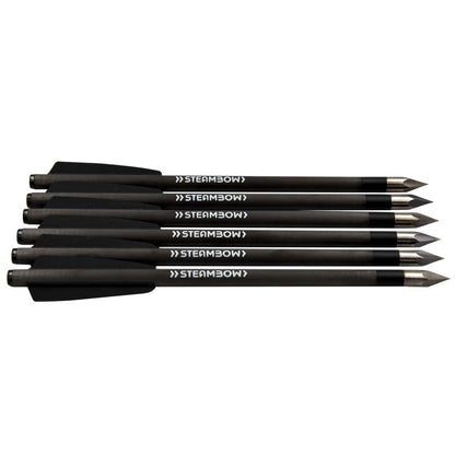 AR-Series – leichte Carbon-Bodkinpfeile – Set aus 6 Stk.